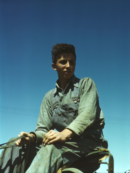 Portrait of a farm boy, between 1941 and 1945. Creator: Unknown.
