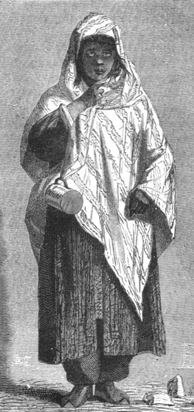 'Gipsy Beggar; Notes on Albania', 1875. Creator: Frederick A. Lyons.