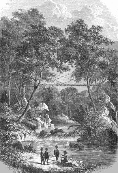 Bamboo Bridge of the Western Dyaks; A Visit to Borneo', 1875. Creator: A.M. Cameron.