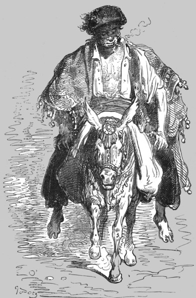 'Muleteer of the Neighbourhood of Granada; An Autumn Tour in Andalusia', 1875. Creator: Gustave Doré.