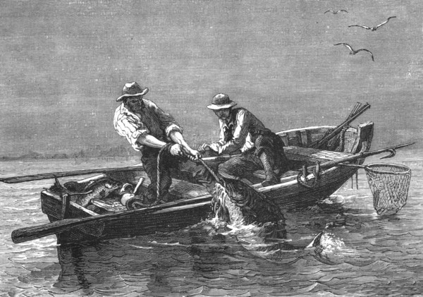 'Hauling in a Drum-Fish; A Flying Visit to Florida', 1875. Creator: Thomas Mayne Reid.
