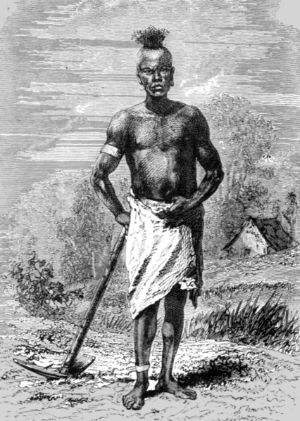 'Mahe Labourer; An Excursion in Dahomey', 1871. Creator: J. Alfred Skertchly.