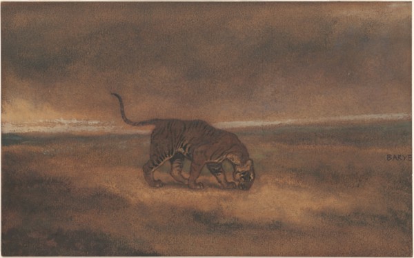 Tiger.