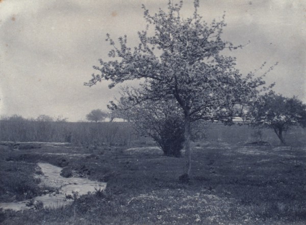In May, c1900. Creator: Frances S. Allen.