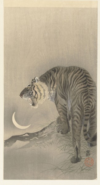 Roaring tiger. Private Collection.