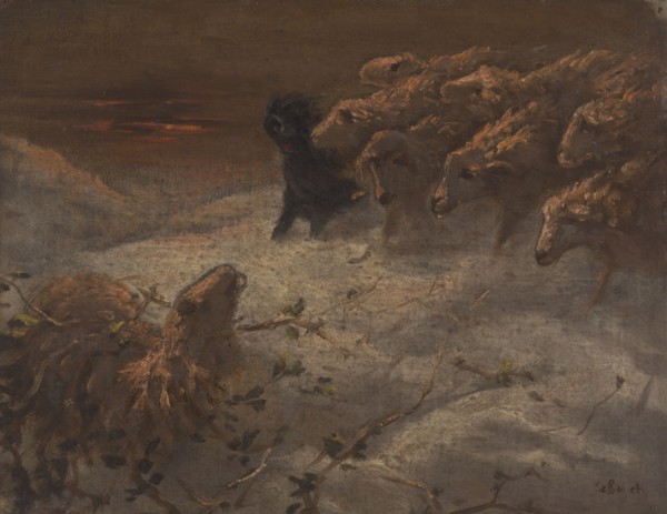 Sheep.