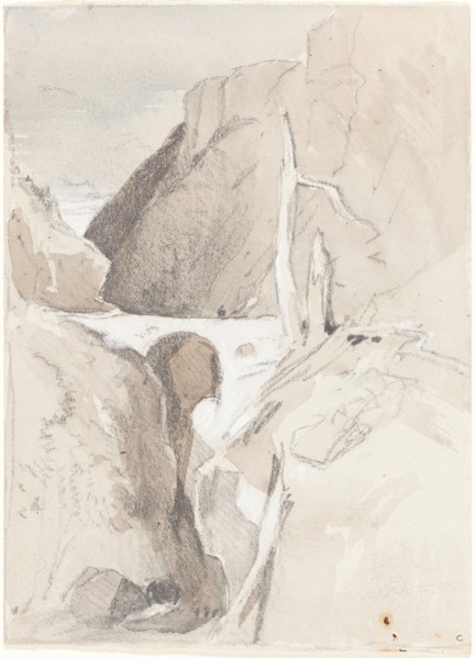 Gorge with Tree Stumps.