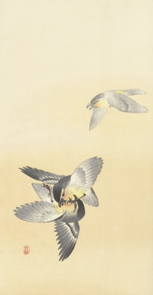 Two fighting birds. Private Collection.