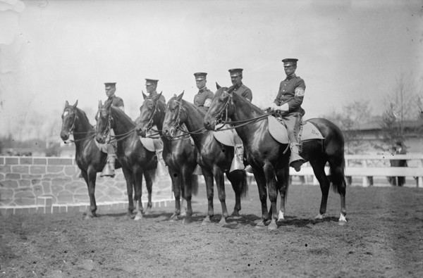 Horse Shows. U.S. Cavalry, 1911.