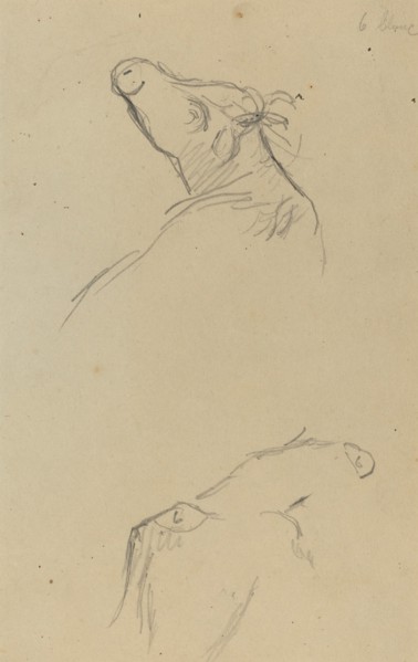 Two Cow's Heads [verso], 1884-1888.