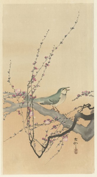 Songbird and plum blossom. Private Collection.