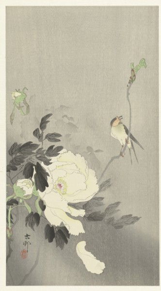 Bird and peony, 1920-1930. Private Collection.