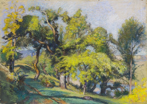 Chestnut Trees above a River, c.1900.