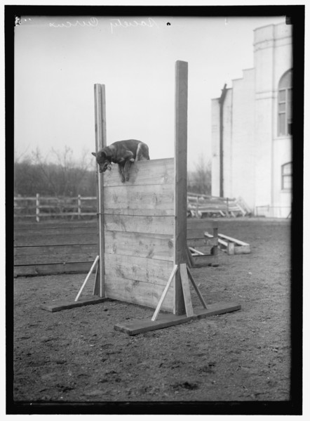 Society Circus, between 1909 and 1923.