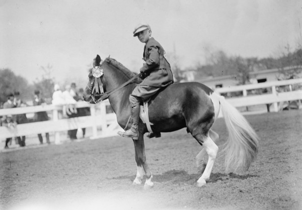 Horse Shows - Children And Ponies, 1911.