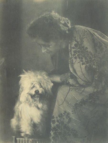 Seated woman petting her white dog, c1900.
