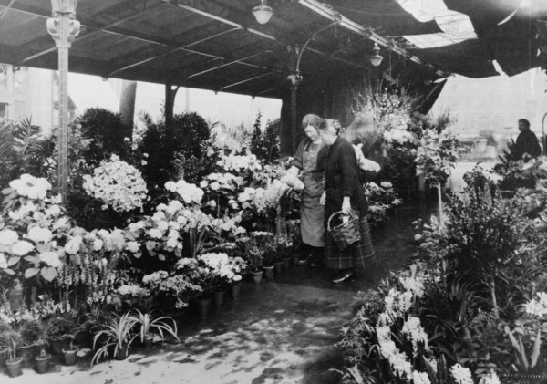Flower market, Quai de la Cité, 1925. Creator: Frances Benjamin Johnston.