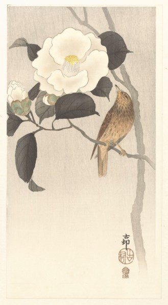 Songbird and blooming camellia, 1900-1910. Private Collection.