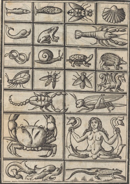 Trionfo Di Virtu. Libro Novo..., page 23 (verso), 1563.