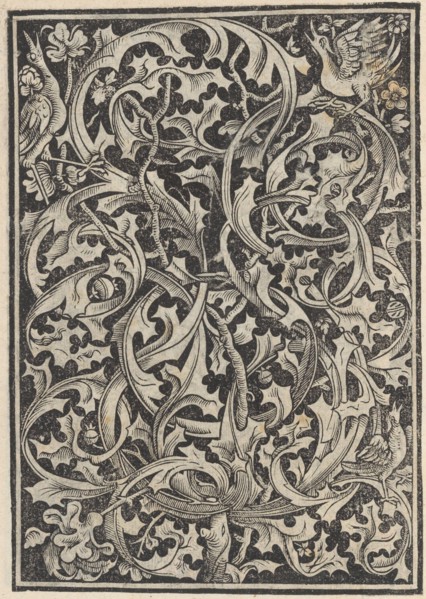 Trionfo Di Virtu. Libro Novo..., page 27 (recto), 1563.