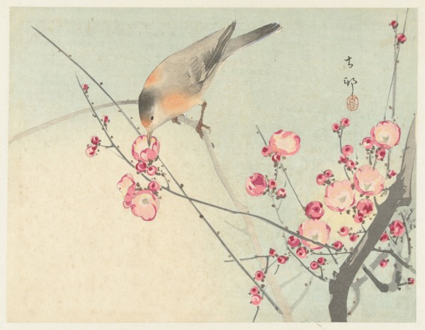 Songbird on blossom branch, Between 1910 and 1920. Private Collection.