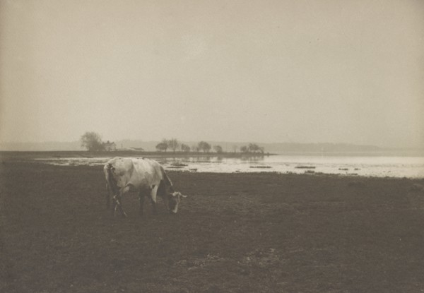 Potomac River from below Alexandria, Virginia, c1895.