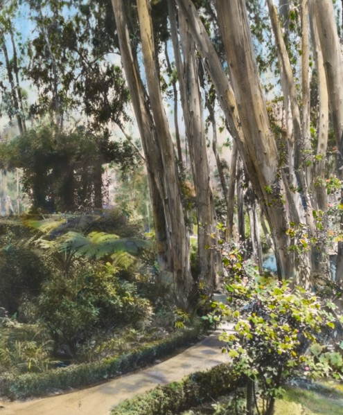 Unidentified house, possibly Pasadena, California, 1917.