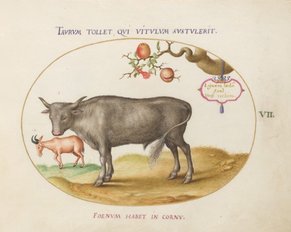 Animalia Qvadrvpedia et Reptilia (Terra): Plate VII, c. 1575/1580.
