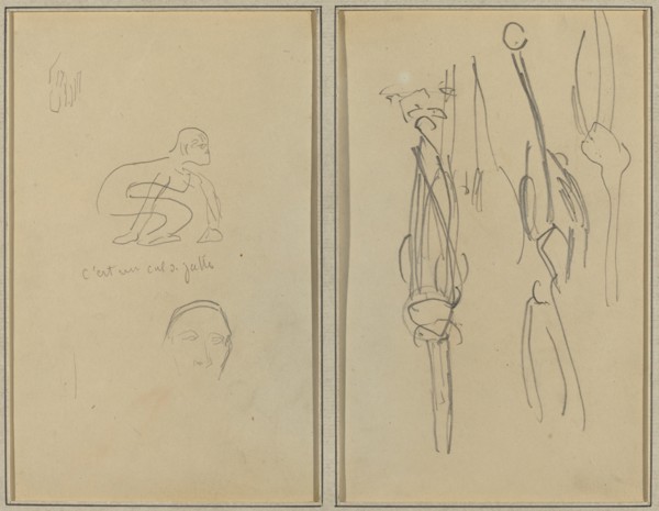 Crouching Monkey and Man's Head; Bones and Muscles [verso], 1884-1888.