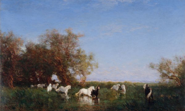 Chevaux sauvages en Camargue, between 1890 and 1895.