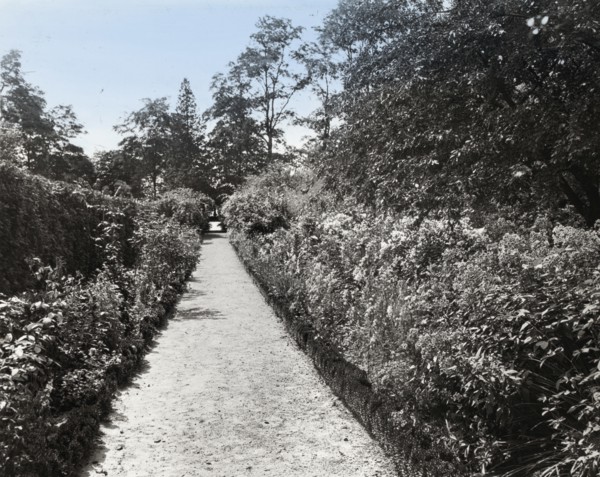 Indian Hill Farm, Moseley Family, West Newbury, Massachusetts, c1920.