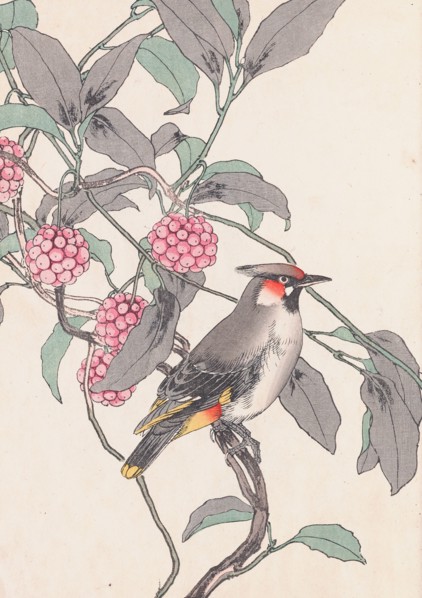 The Four Seasons Bird and Flower Albums (Keinen Kacho Gafu), 1891-1892. Private Collection.
