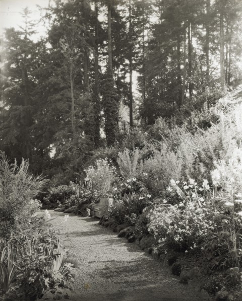 High Hatch, Thomas Kerr garden, SW Military Lane, Portland, Oregon, 1923.