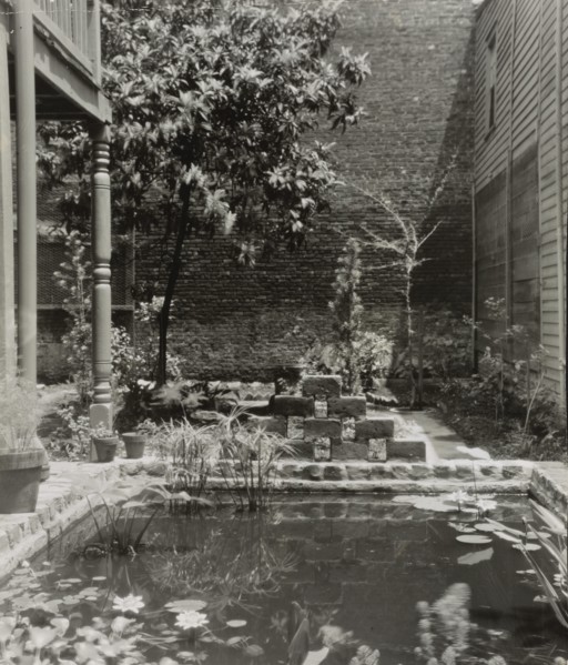 My patio court, March 21 to May, 1946. Creator: Frances Benjamin Johnston.