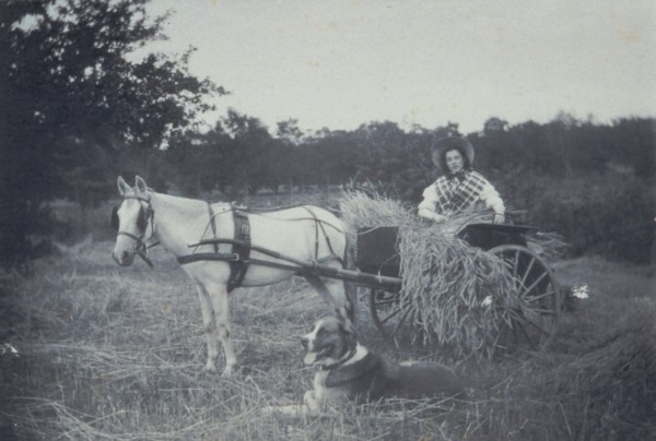 Boon companions, c1900. Creator: Unknown.
