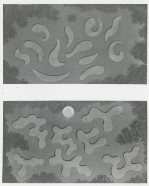 Reproduction of illustrations showing flower garden designs, between 1915 and 1925. Creator: Frances Benjamin Johnston.