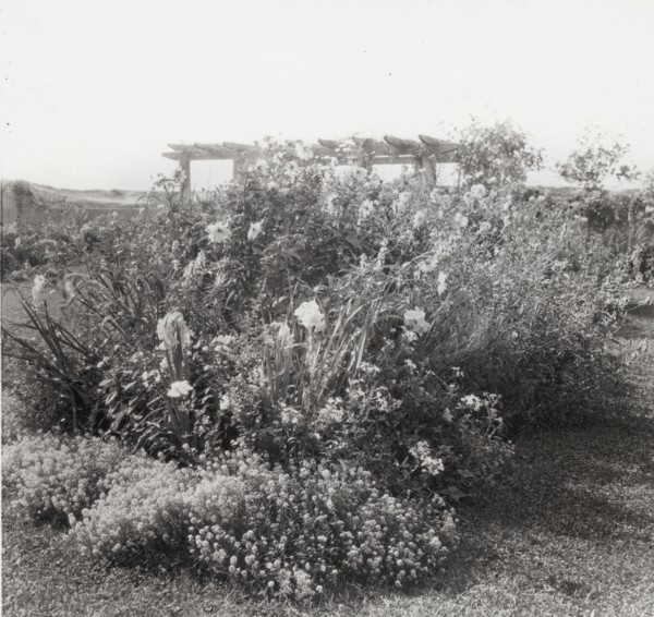 Gray Gardens, Robert Carmer Hill house, Lily Pond Lane, East Hampton, New York, c1914. Creator: Frances Benjamin Johnston.