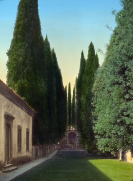 Villa d'Este, Tivoli, Lazio, Italy, 1925. Creator: Frances Benjamin Johnston.