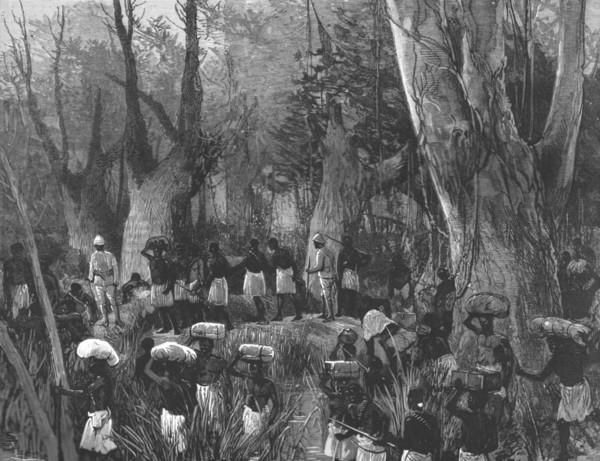 'The Graphic' Stanley Number; The Vanguard of the Expedition Marching throughthe Primaeval Forest',  Creator: Unknown.