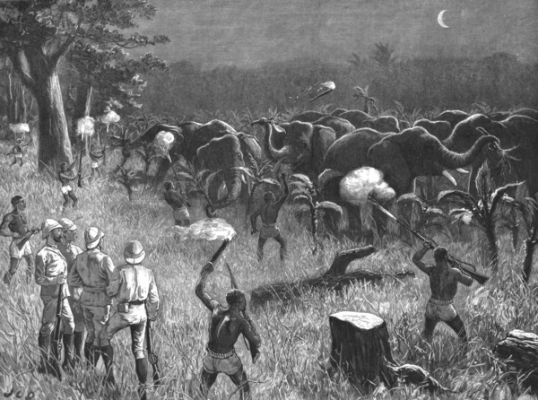 'The Graphic' Stanley Number; Zanzibaris Scaring Elephants which were destroying a Banana Grove near Creator: Unknown.
