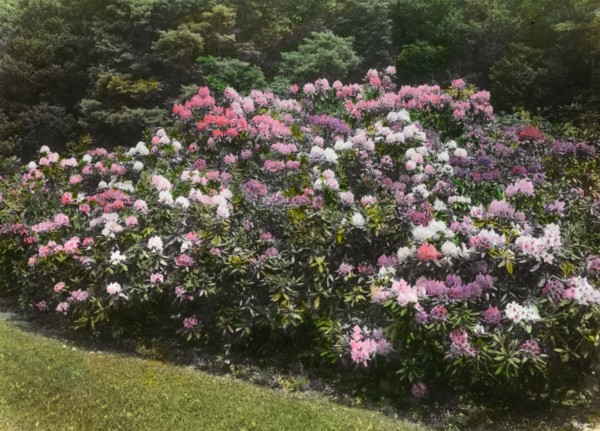 George Fisher Baker house, Tuxedo Park, New York, c1913. Creator: Frances Benjamin Johnston.