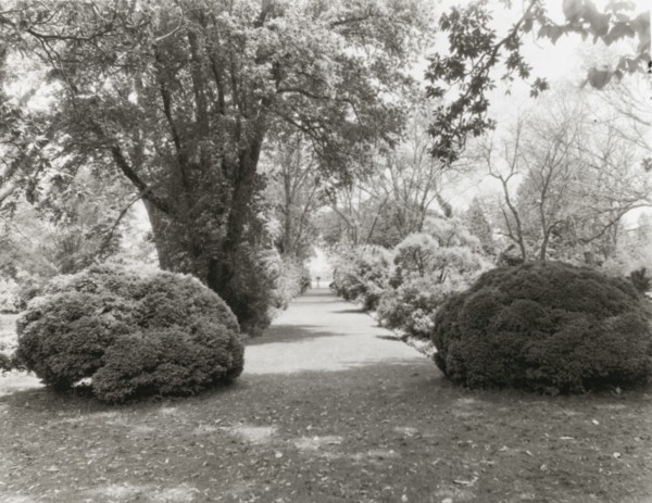 Brandon, Robert Williams Daniel house, Prince George County, Virginia, 1928. Creator: Frances Benjamin Johnston.