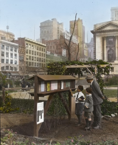 Demonstration garden, Bryant Park, 42nd Street and Fifth Avenue, New York, New York., 1918. Creator: Frances Benjamin Johnston.