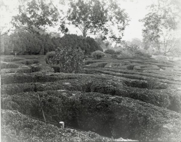 Tuckahoe, Nehemiah Addison Baker house, Route 650, near Mankin, Goochland County, VA, 1936. Creator: Frances Benjamin Johnston.