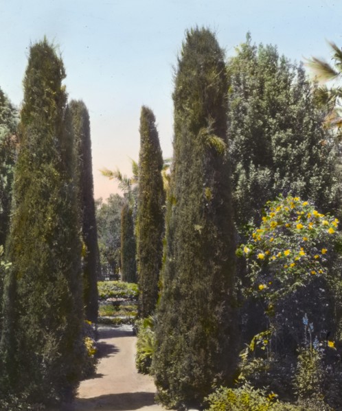 Glendessary, Robert Cameron Rogers house, Glendessary Lane, Santa Barbara, California, 1917. Creator: Frances Benjamin Johnston.