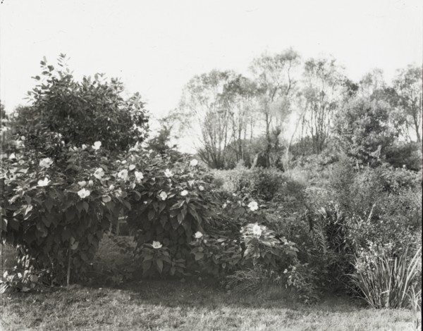 Glen Oaks, James Hobart Moore house, East Valley Road, Montecito, California, 1917. Creator: Frances Benjamin Johnston.