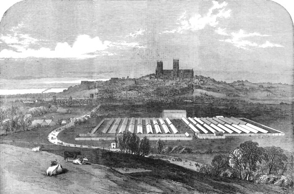 Meeting of the Royal Agricultural Society, at Lincoln, 1854. Creator: Unknown.