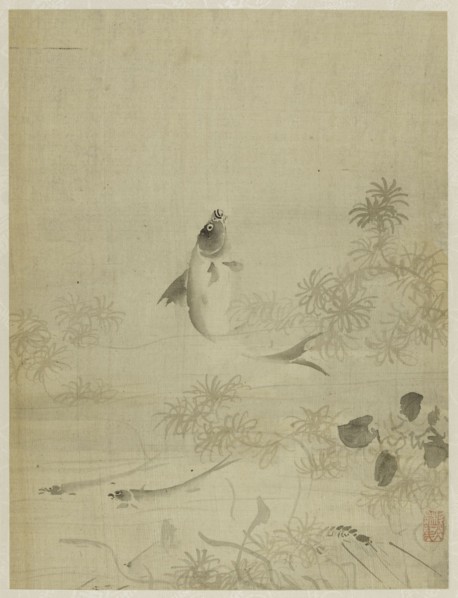 Album, 1661.