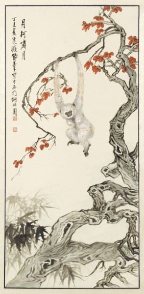 White monkey, 1937.