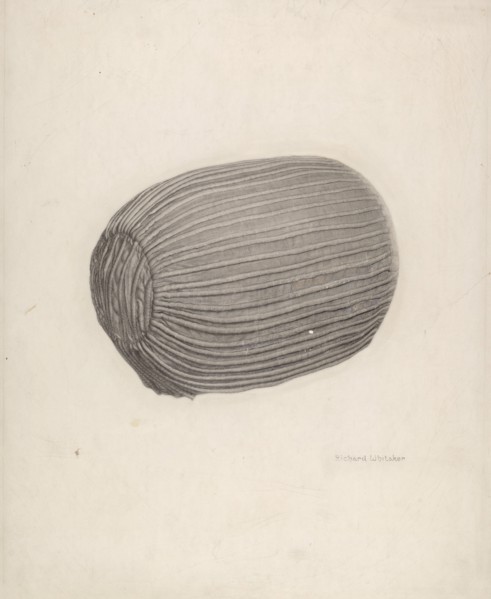 Baby's Bonnet, c. 1939.